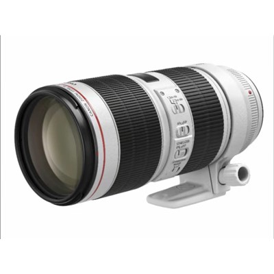 办公、数码设备照相机及器材镜头及器材镜头佳能EF 70-200 F2.8L IS III USM远摄变焦镜头全画幅单反远摄变焦镜头支持防抖、自动对焦、AF/MF切换77mm滤镜直径F2.8